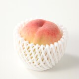岡山県産　窪津真果園の白桃「品種おまかせ」約1.5kg（4～6玉）