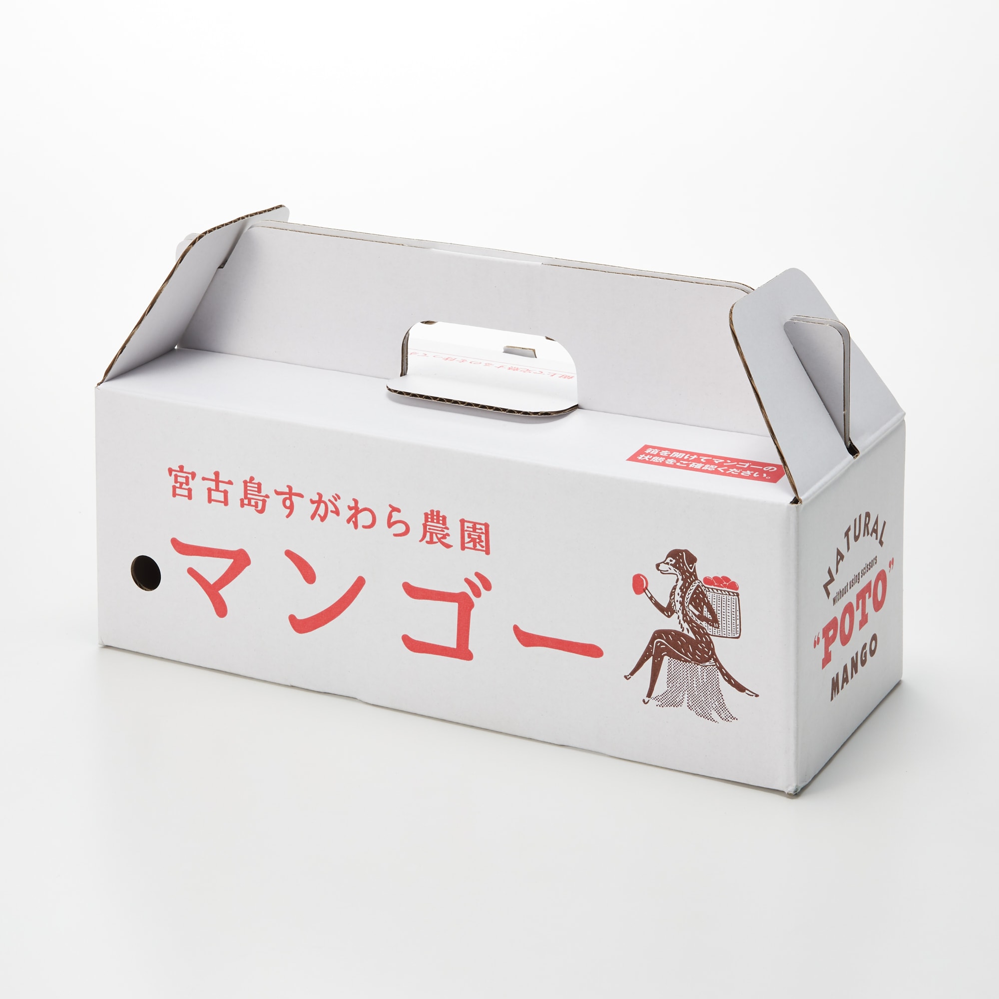 沖縄県産　宮古島すがわら農園の「マンゴー」家庭用　約１ｋｇ
