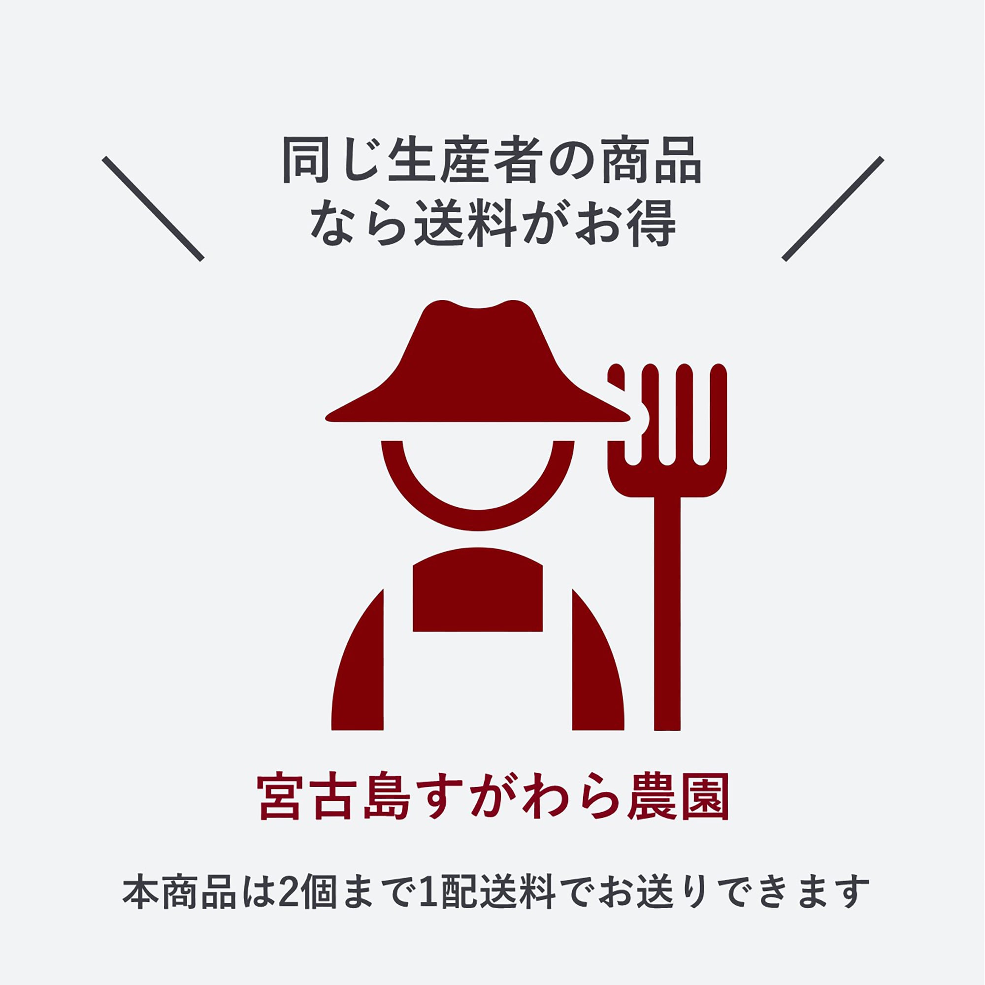 沖縄県産　宮古島すがわら農園の「マンゴー」家庭用　約１ｋｇ
