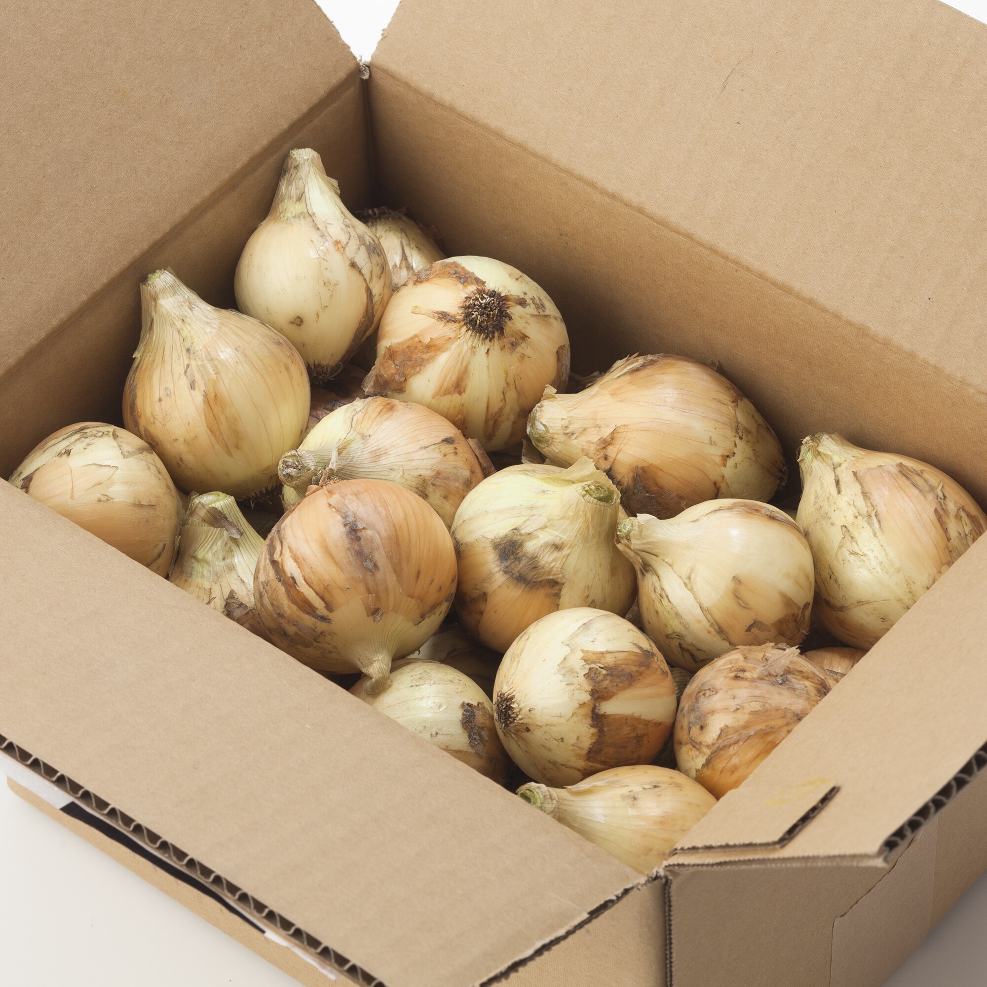 兵庫県淡路島産　花岡農恵園の自然栽培「たまねぎ」　約３ｋｇ