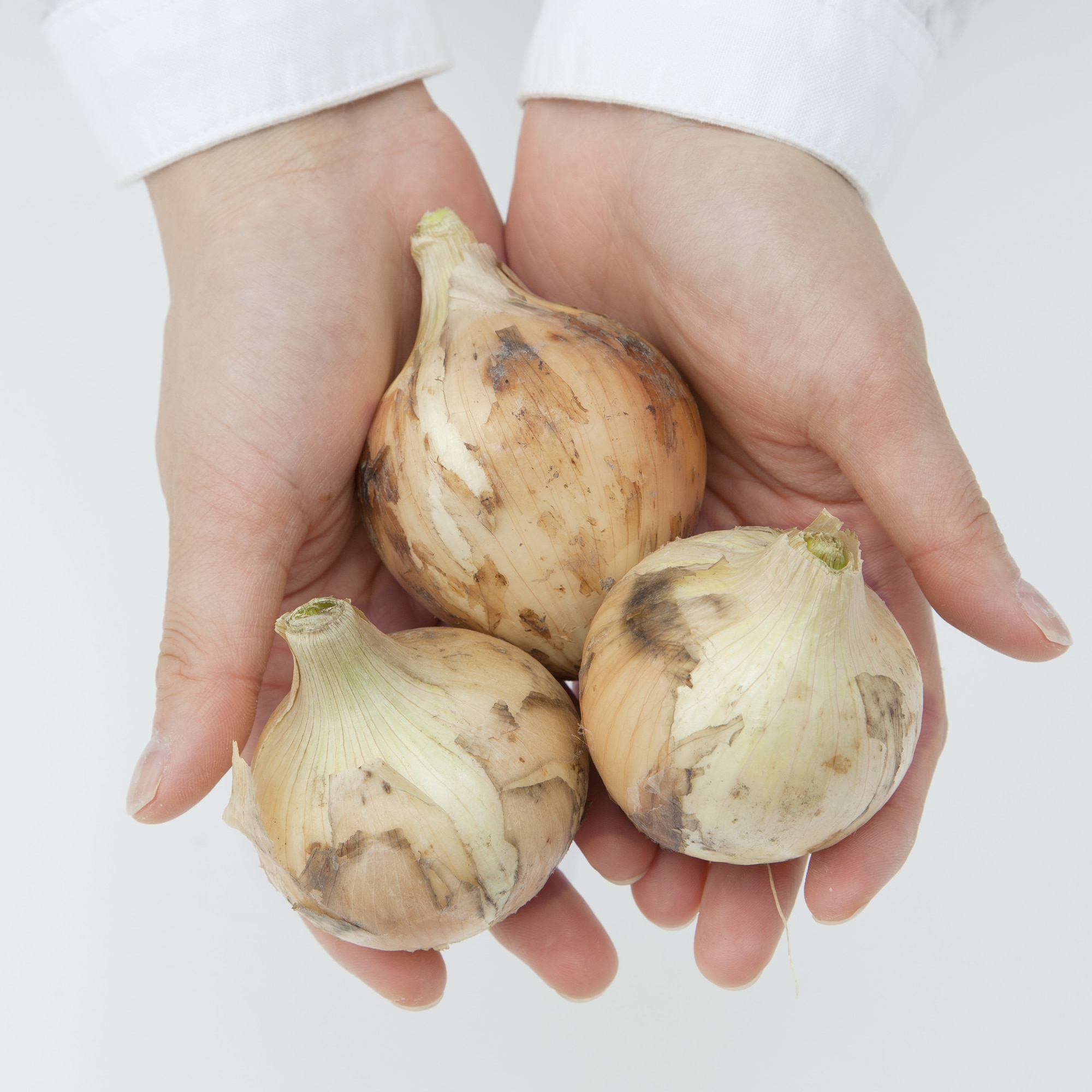 兵庫県淡路島産　花岡農恵園の自然栽培「たまねぎ」　約３ｋｇ