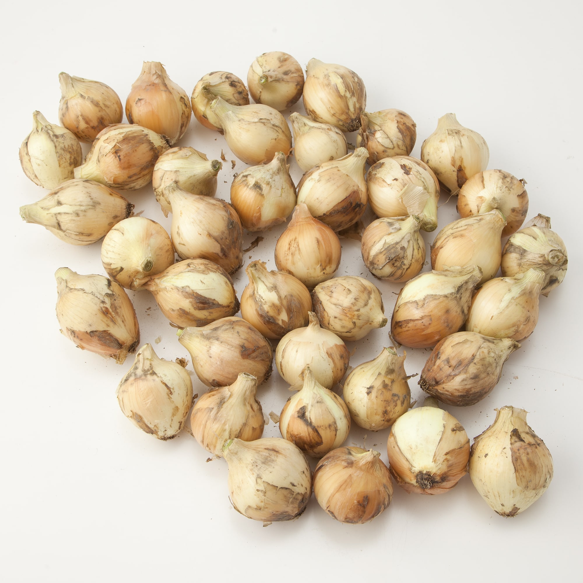 兵庫県淡路島産　花岡農恵園の自然栽培「たまねぎ」　約３ｋｇ