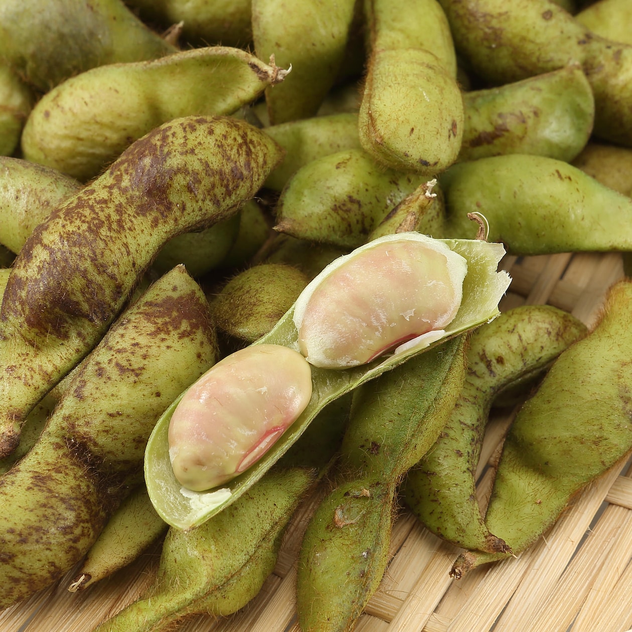 兵庫県産　ＨＯＰＥ　ＦＡＲＭの「丹波黒枝豆」家庭用（莢のみ）　約５００ｇ
