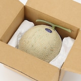 静岡県産　名倉メロン農場の「マスクメロン」