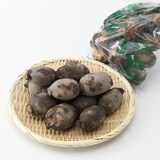 佐賀県産　小野ファームの「白石れんこん」　家庭用・約２ｋｇ