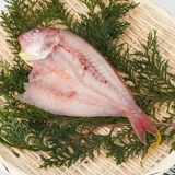 鹿児島県鹿屋市　キバラの一夜干し　１尾（約１２０ｇ）