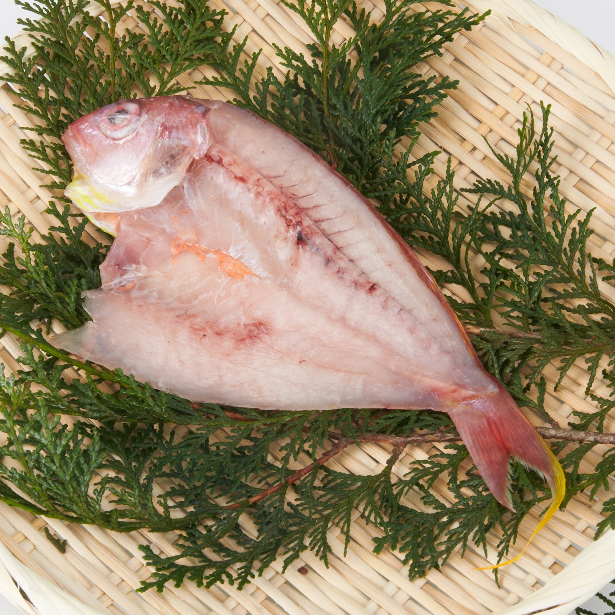 鹿児島県鹿屋市　キバラの一夜干し　１尾（約１２０ｇ）