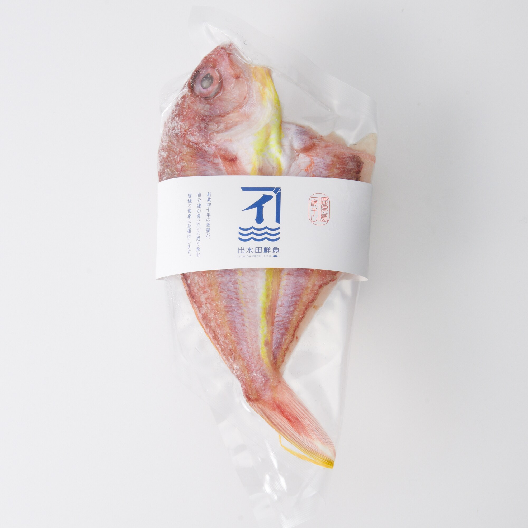 鹿児島県鹿屋市　キバラの一夜干し　１尾（約１２０ｇ）