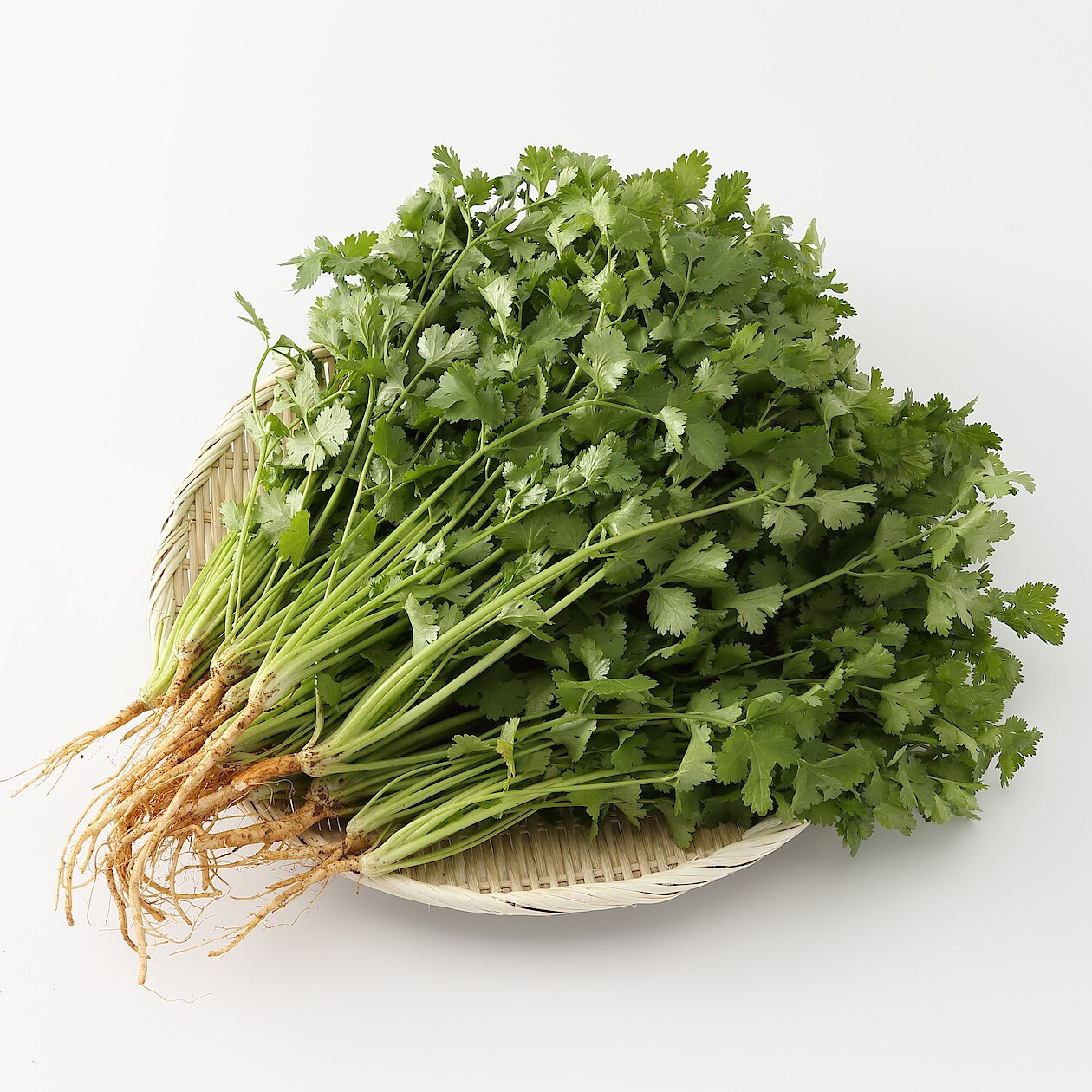 宮古島産 パクチー 約５００ｇ 化学肥料 農薬不使用 諸国良品 旬のやさい 通販 無印良品