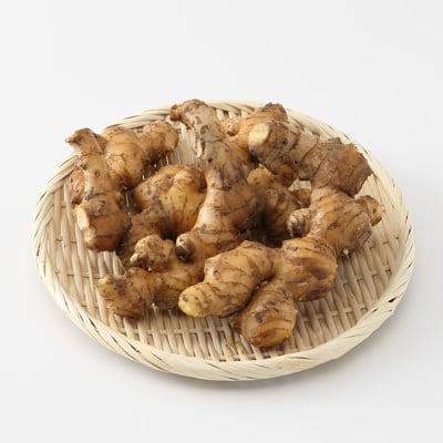 高知県産 グリーンホッパー吉田農園の「しょうが」（自然農法）約５００ｇ