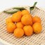 宮崎県産「完熟きんかん」約５００ｇ