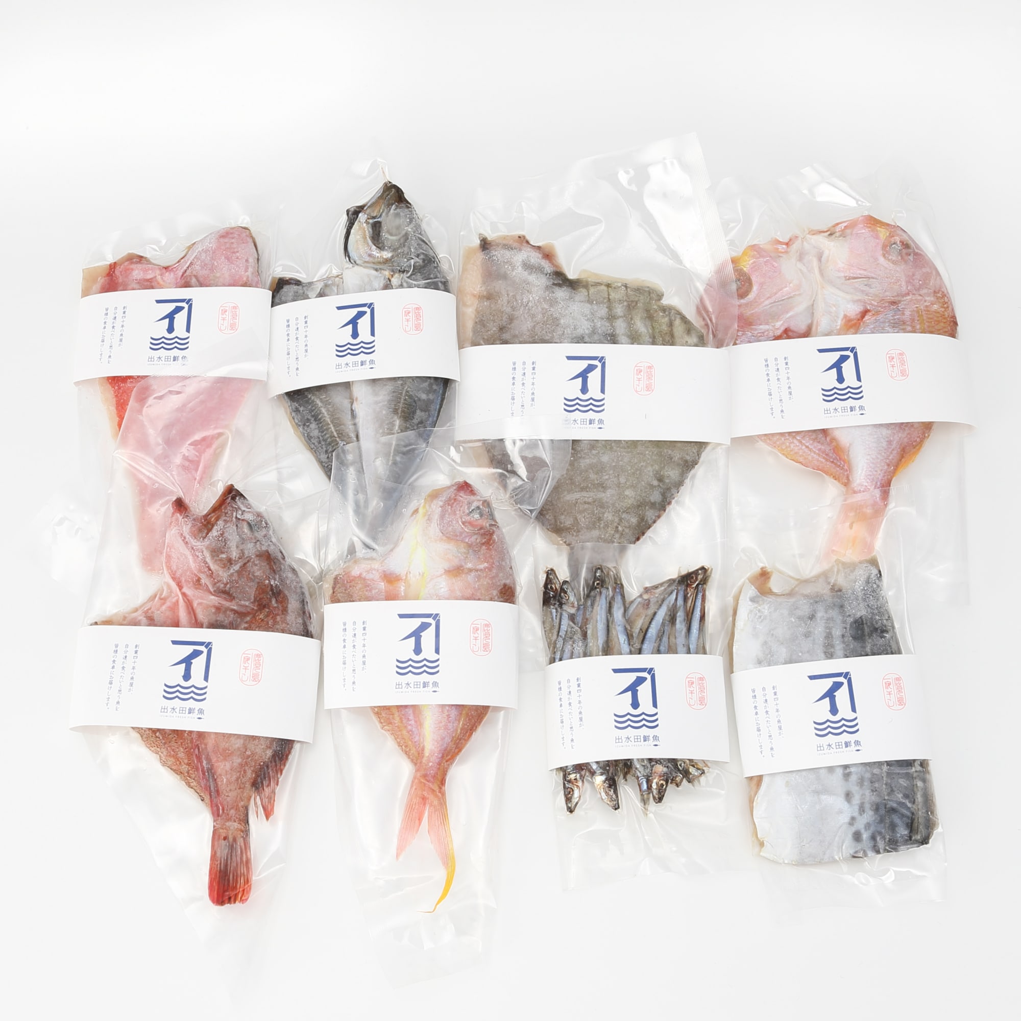 鹿児島県鹿屋市　季節の干物セット「春」