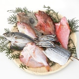 鹿児島県鹿屋市　季節の干物セット「春」