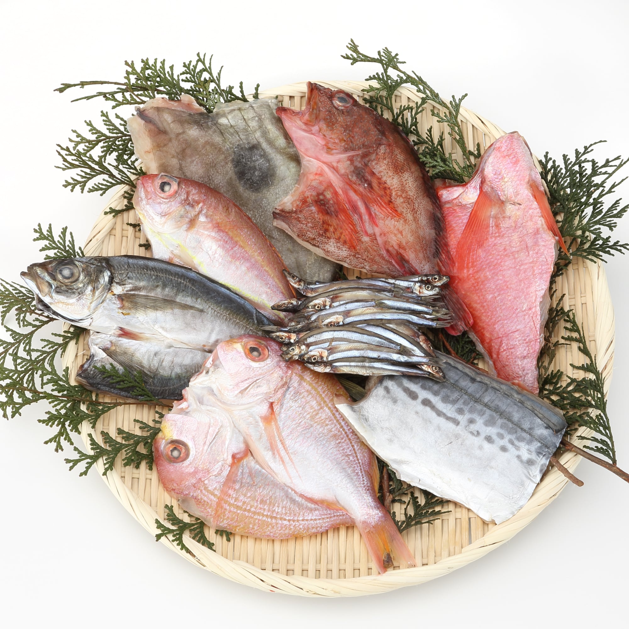 鹿児島県鹿屋市　季節の干物セット「春」