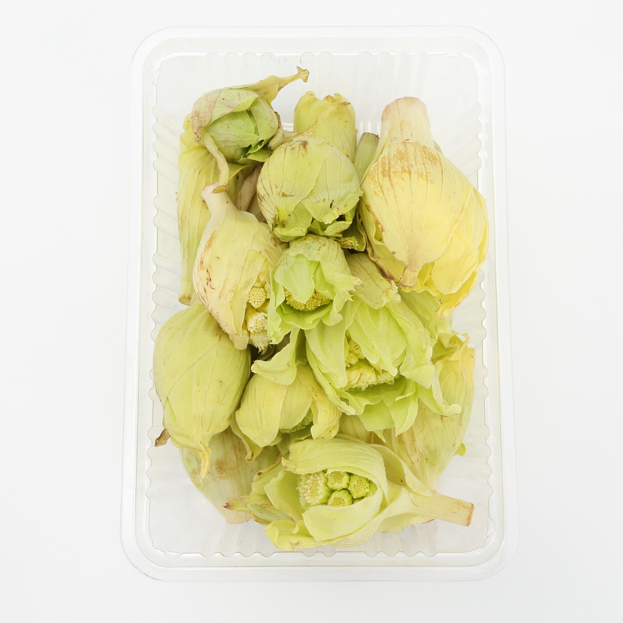 白神山地の天然山菜セット（４種類以上）