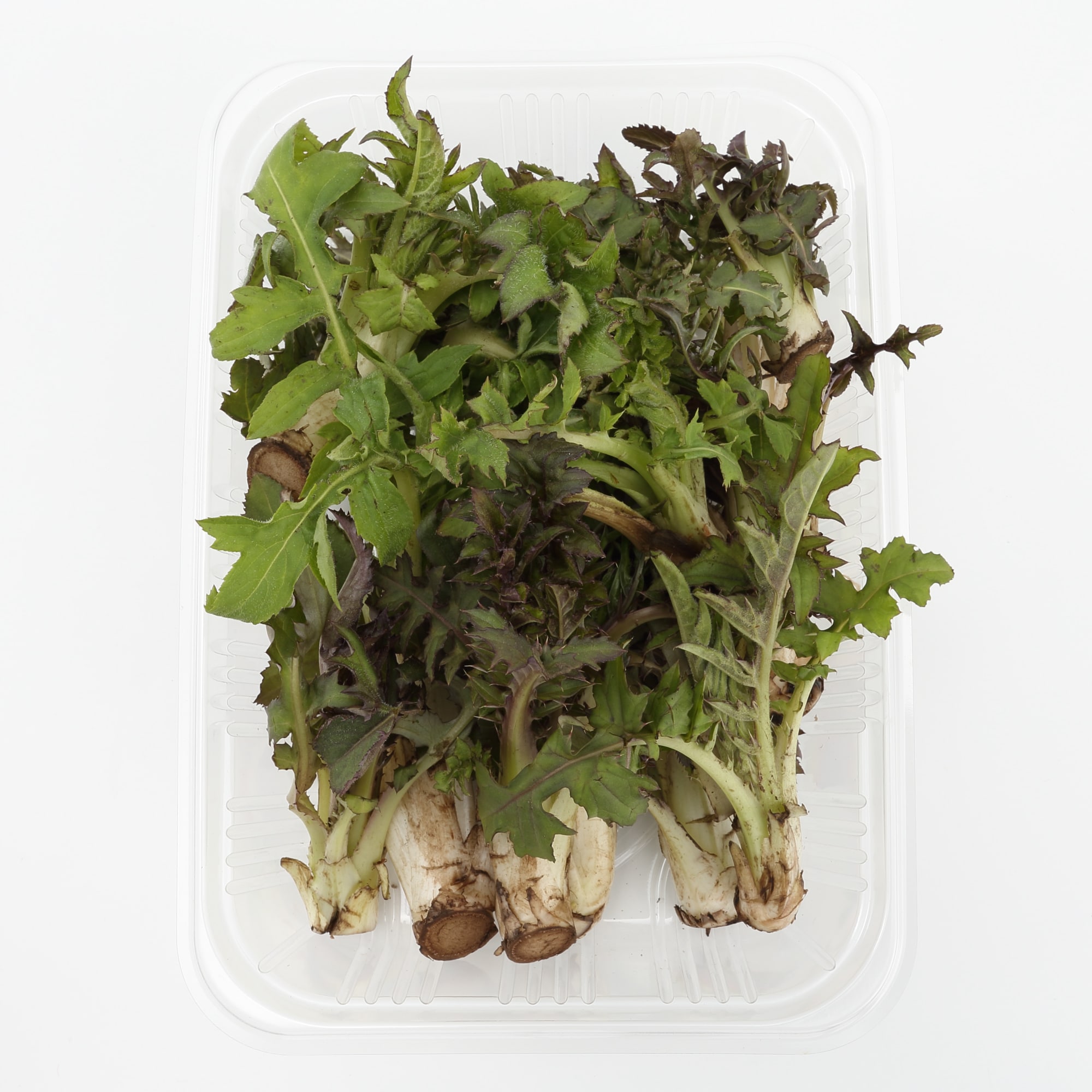 白神山地の天然山菜セット（４種類以上）