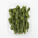 白神山地の天然山菜セット（４種類以上）