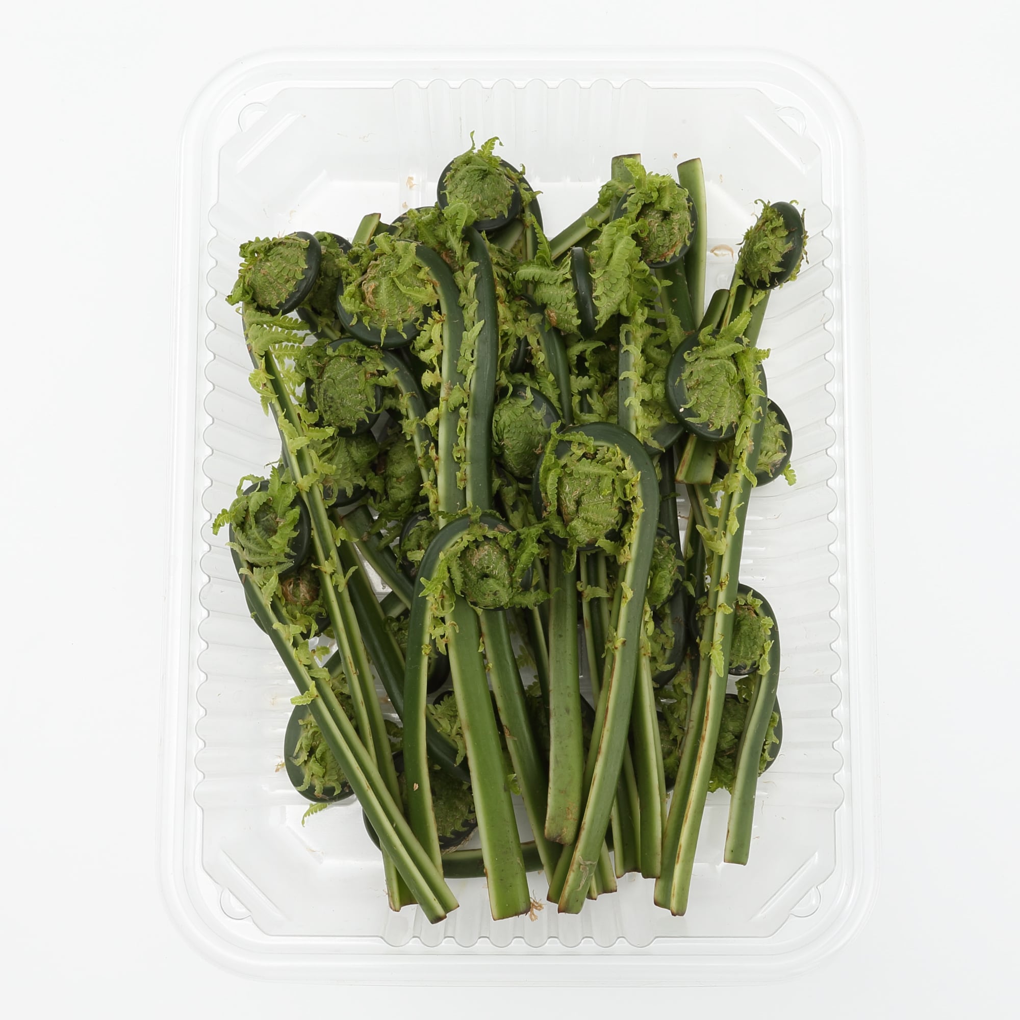 白神山地の天然山菜セット（４種類以上）