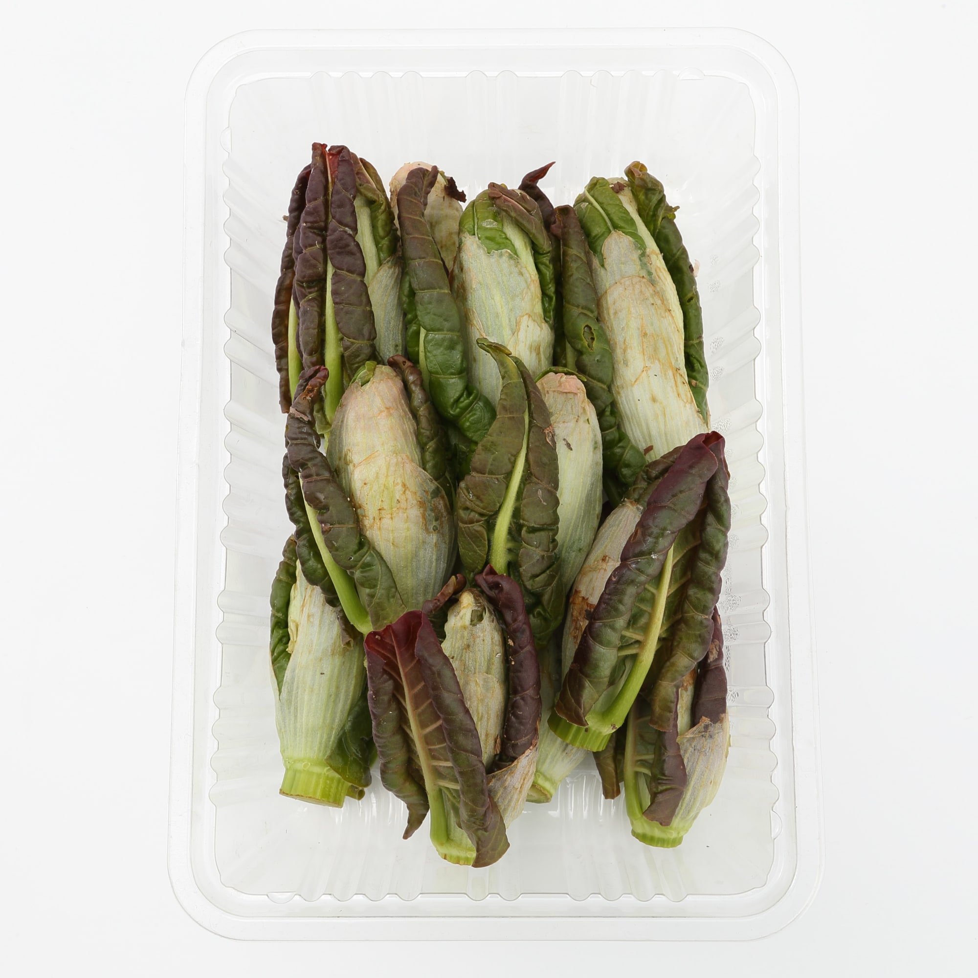 白神山地の天然山菜セット（４種類以上）