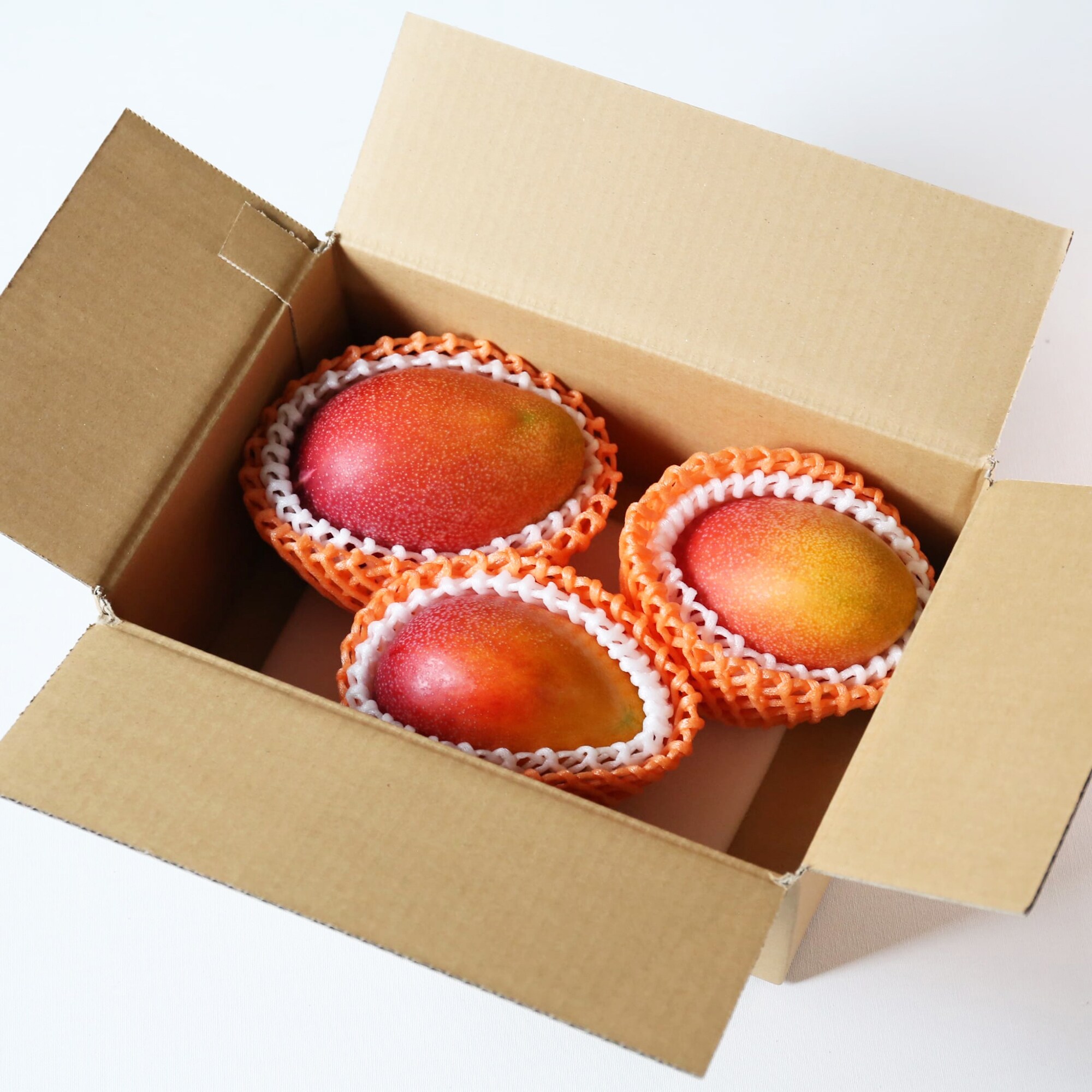 宮崎県産　ＮＳファームの「鉢植え完熟マンゴー」家庭用・約８５０ｇ（２～４個）