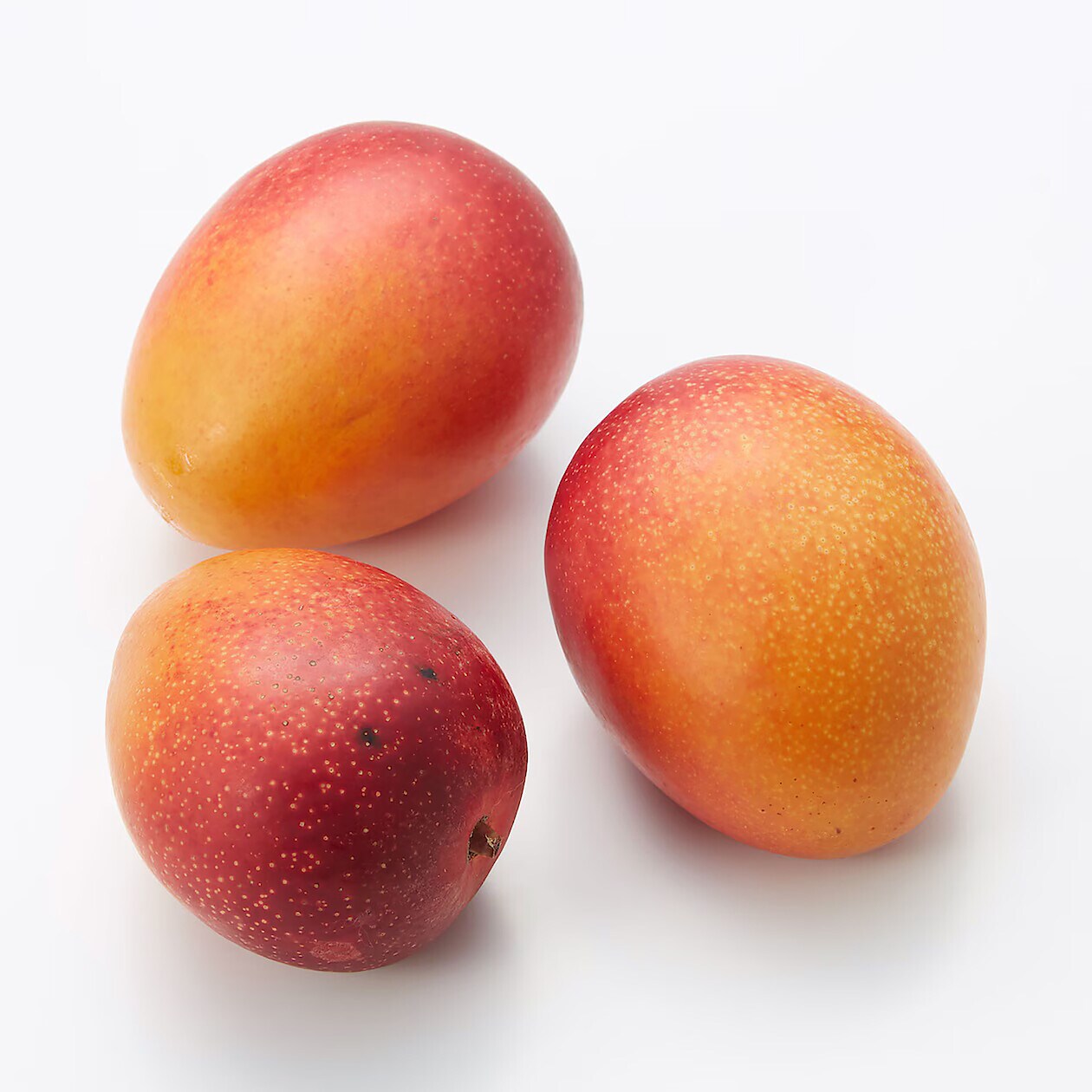 今季も再入荷 完熟マンゴー 1キロ zlote-arkady.pl