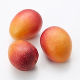 宮崎県産　ＮＳファームの「鉢植え完熟マンゴー」家庭用・約８５０ｇ（２～４個）