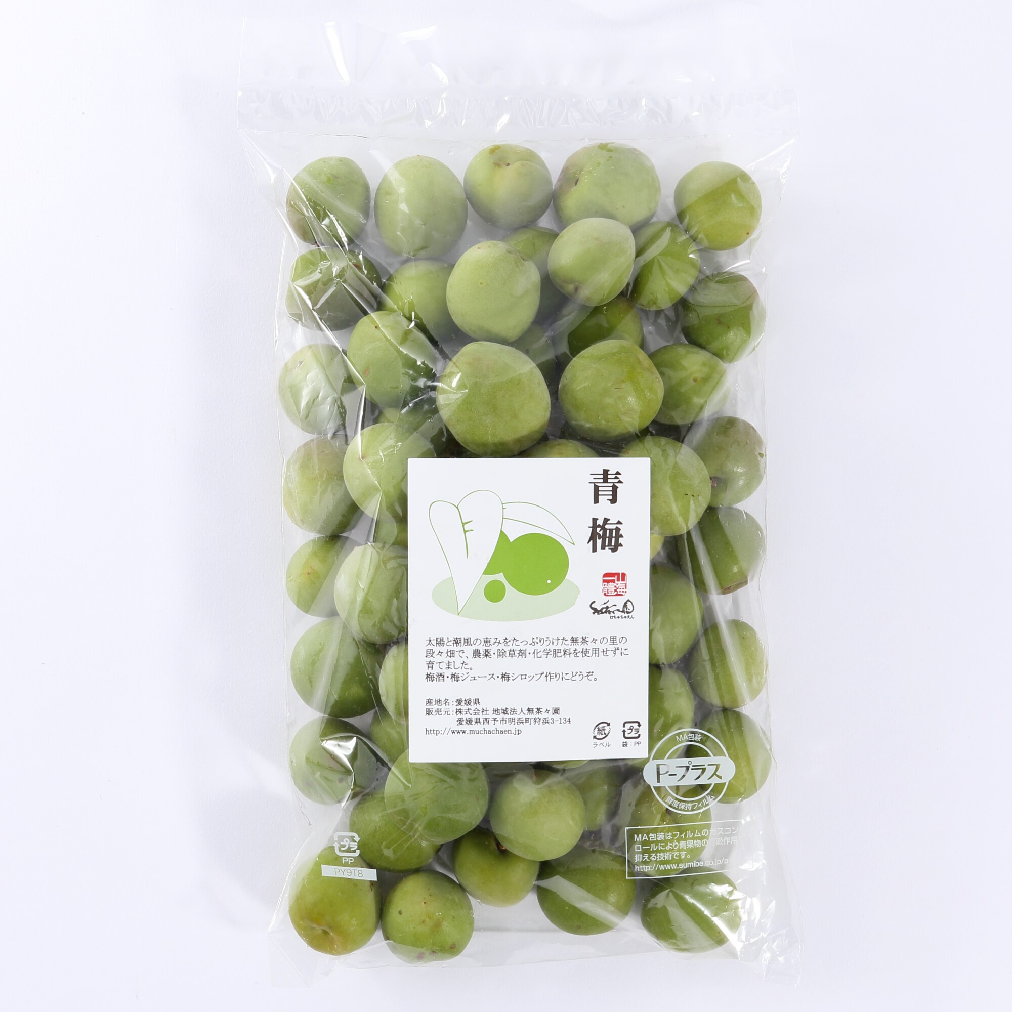 愛媛県産　無茶々園の「青梅」　約１ｋｇ