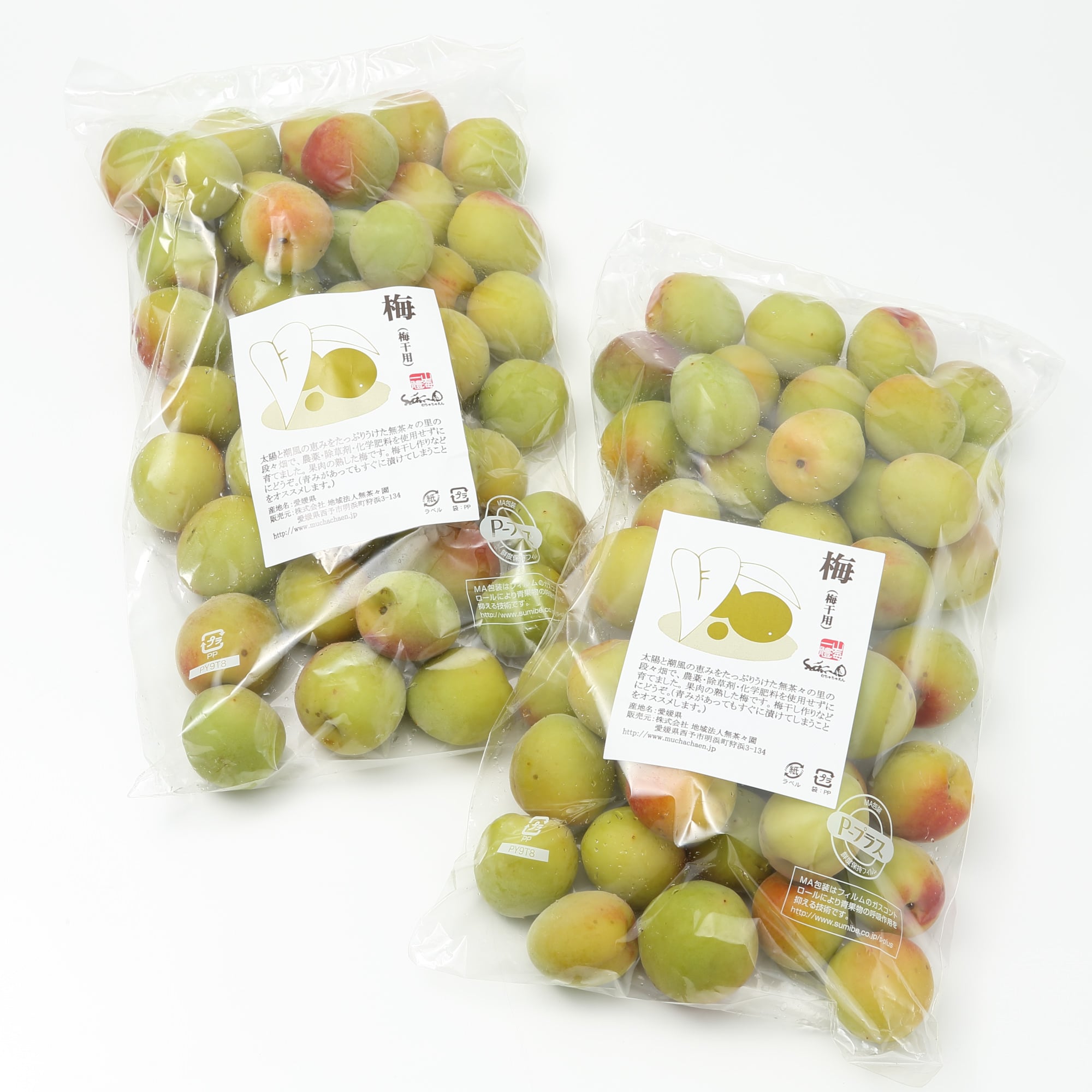 愛媛県産　無茶々園の「梅干し用梅」　約１ｋｇ