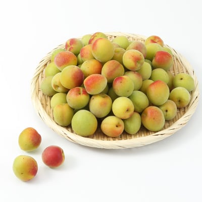 愛媛県産　無茶々園の「梅干し用梅」　約１ｋｇ