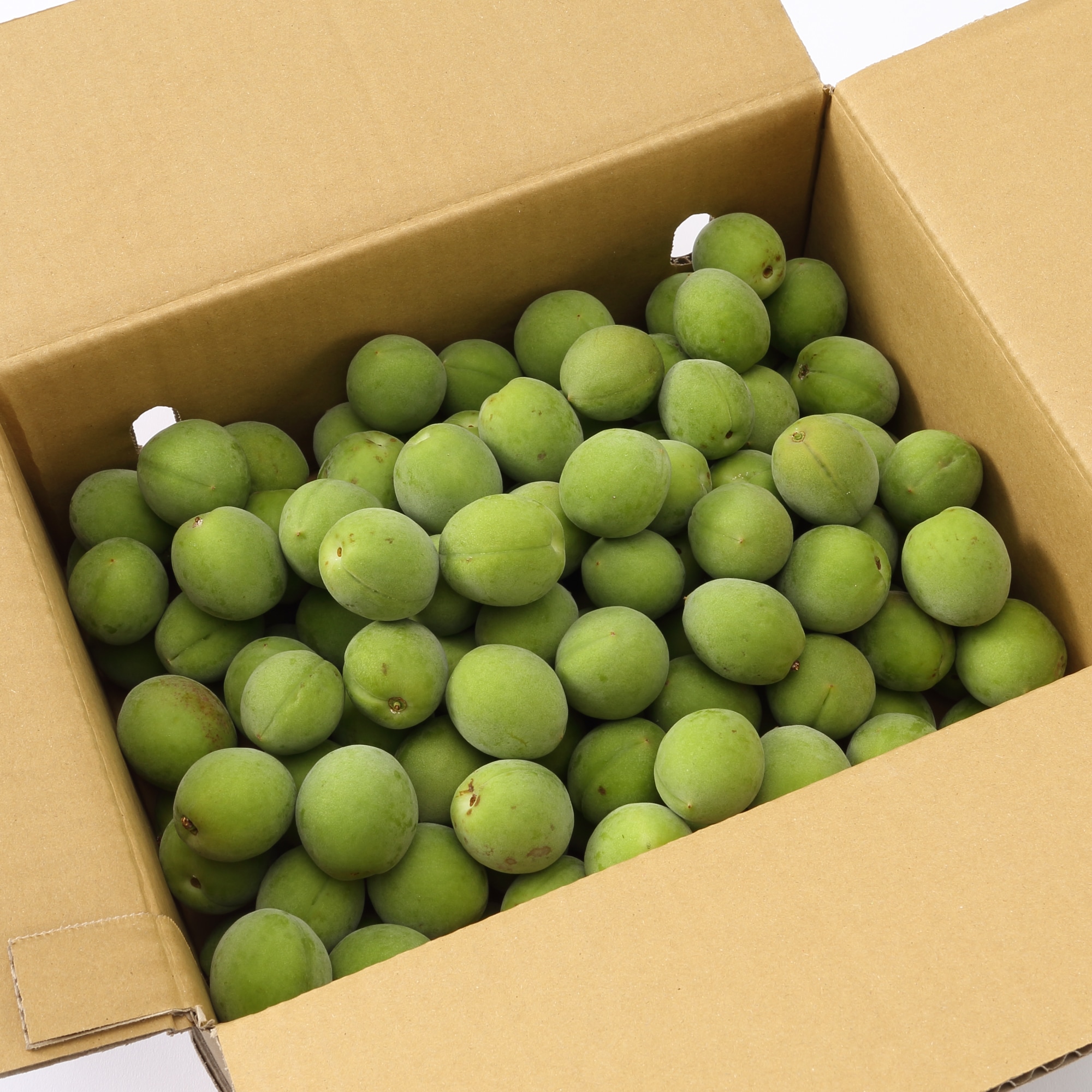 奈良県産　堀内果実園の青梅「白加賀」　約３ｋｇ