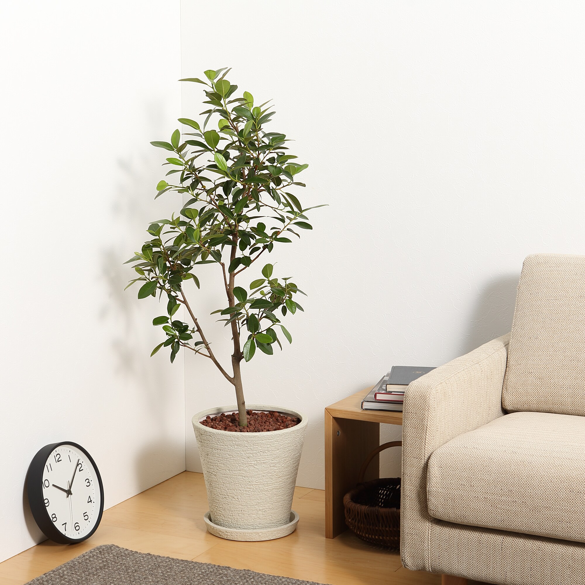 フランスゴム　　ポリストーン鉢１０号