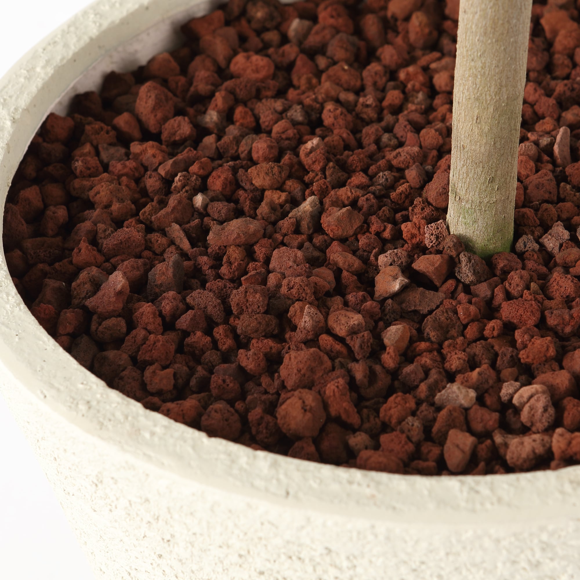 エバーフレッシュ　　ポリストーン鉢１０号