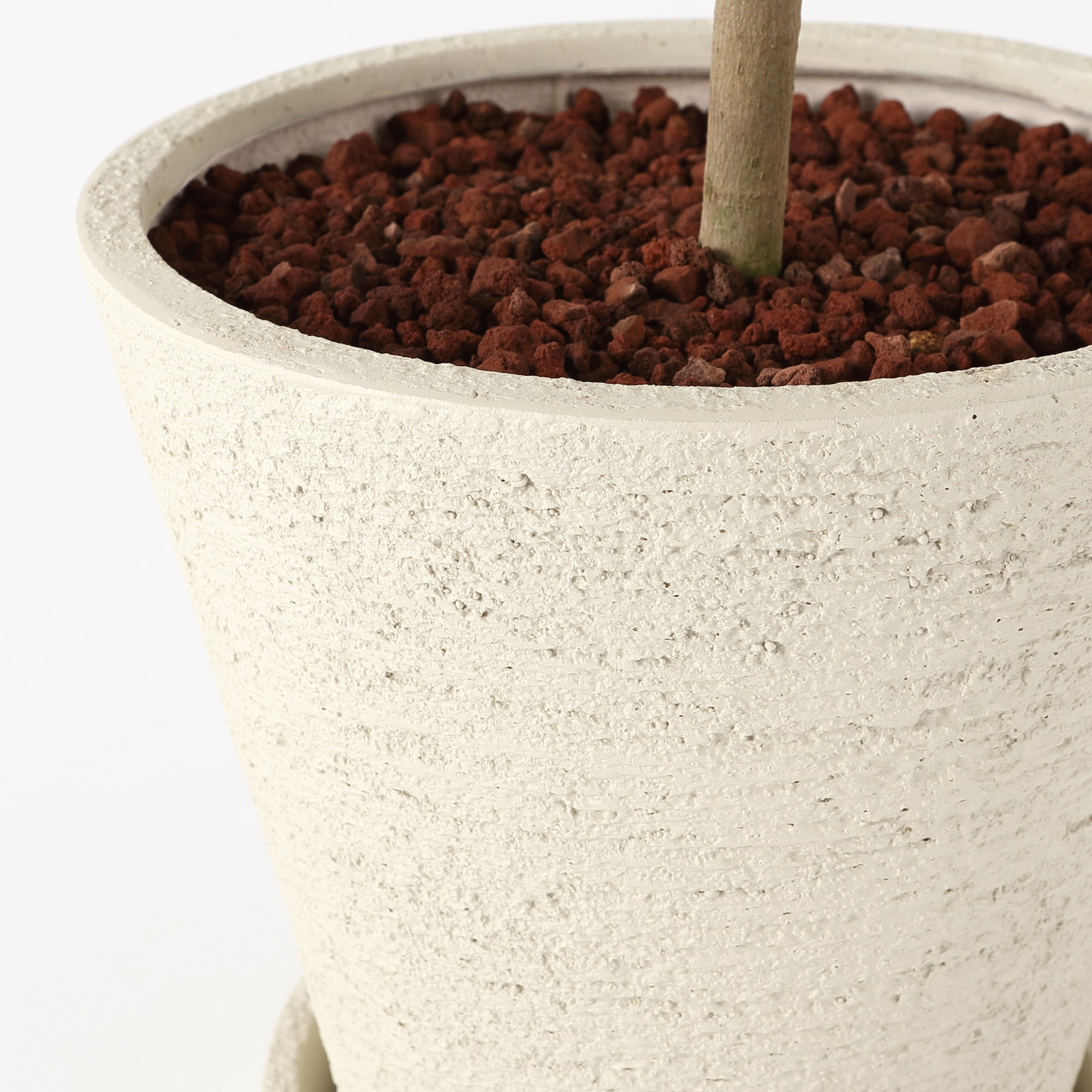 オリーブ　　ポリストーン鉢１０号