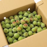 奈良県産　堀内果実園の青梅「南高梅」　約３ｋｇ