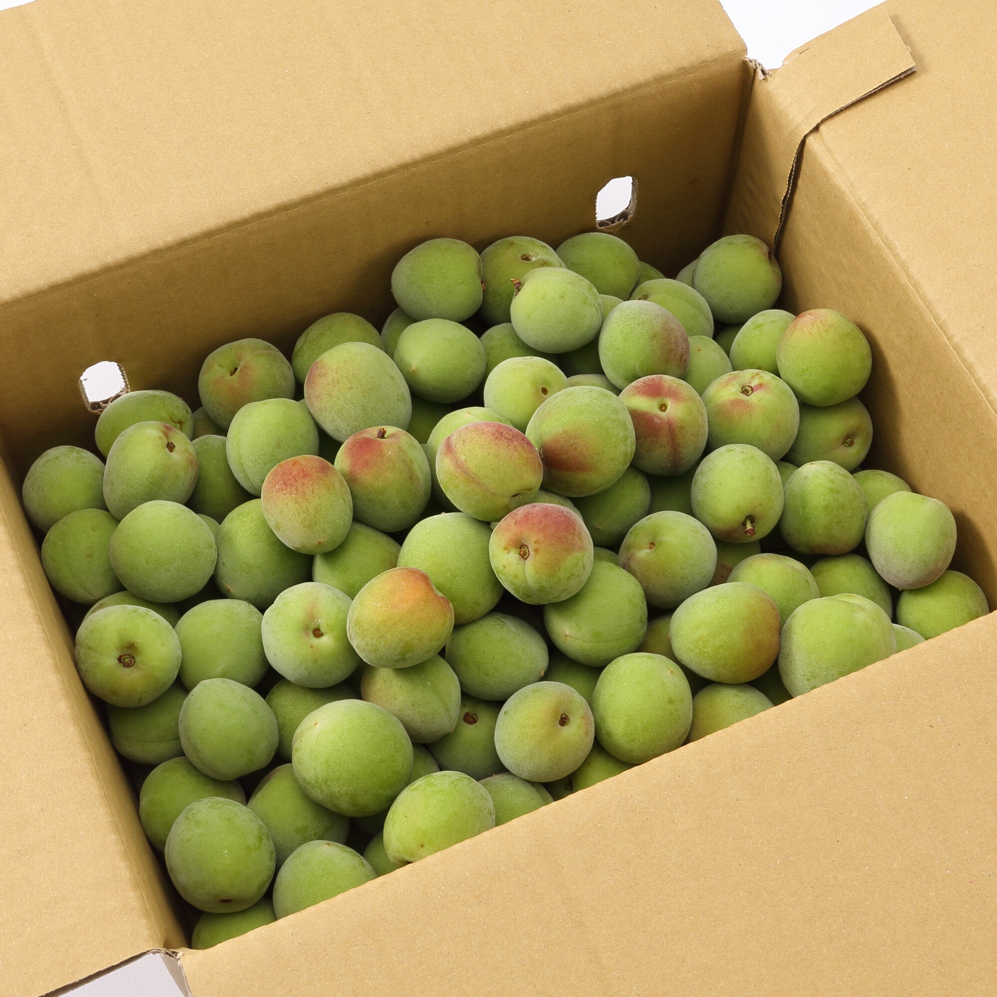 奈良県産　堀内果実園の青梅「南高梅」　約３ｋｇ