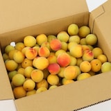 奈良県産　堀内果実園の完熟梅「南高梅」　約３ｋｇ