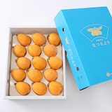 長崎県産 川口農園のびわ「なつたより」　１５玉