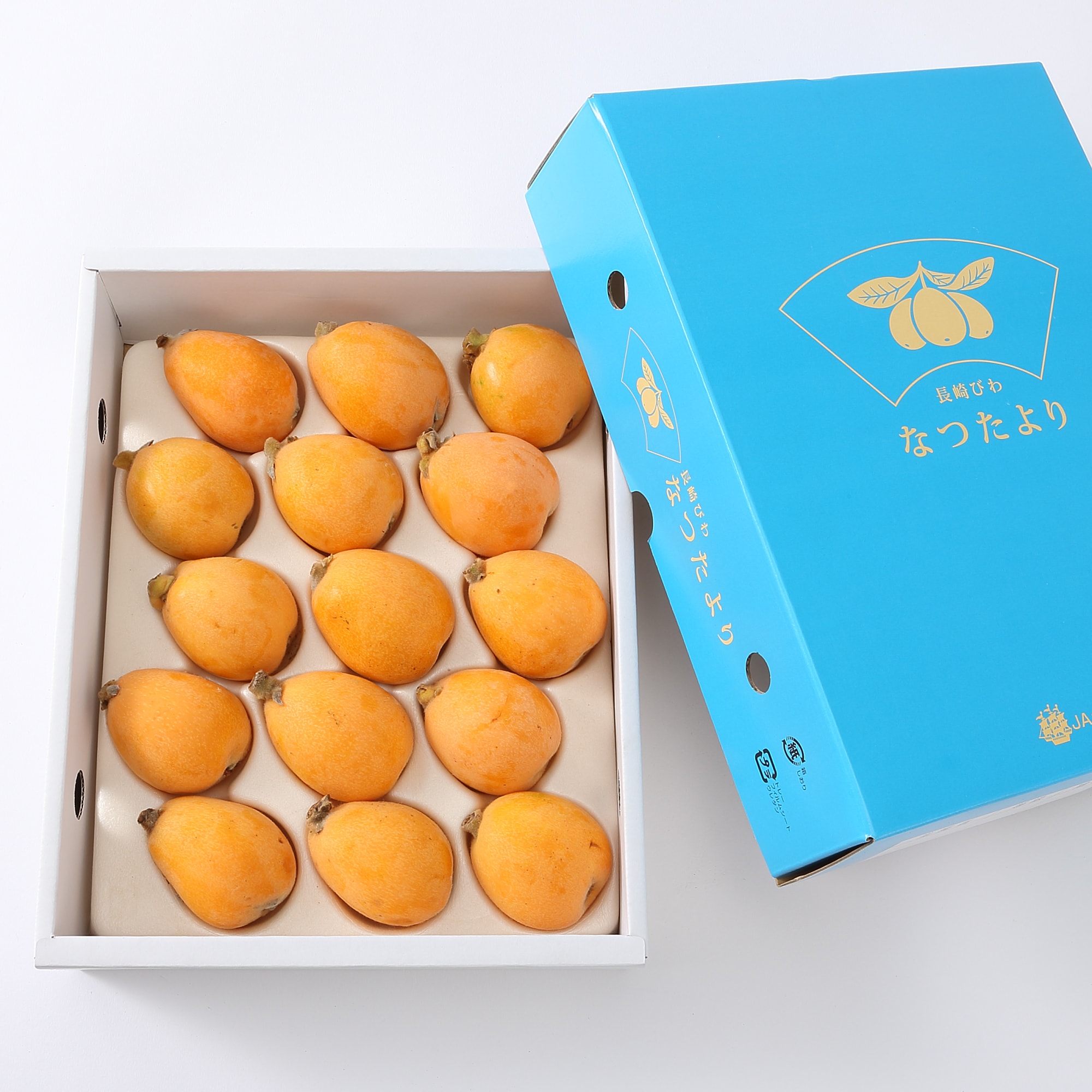 長崎県産 川口農園のびわ「なつたより」　１５玉