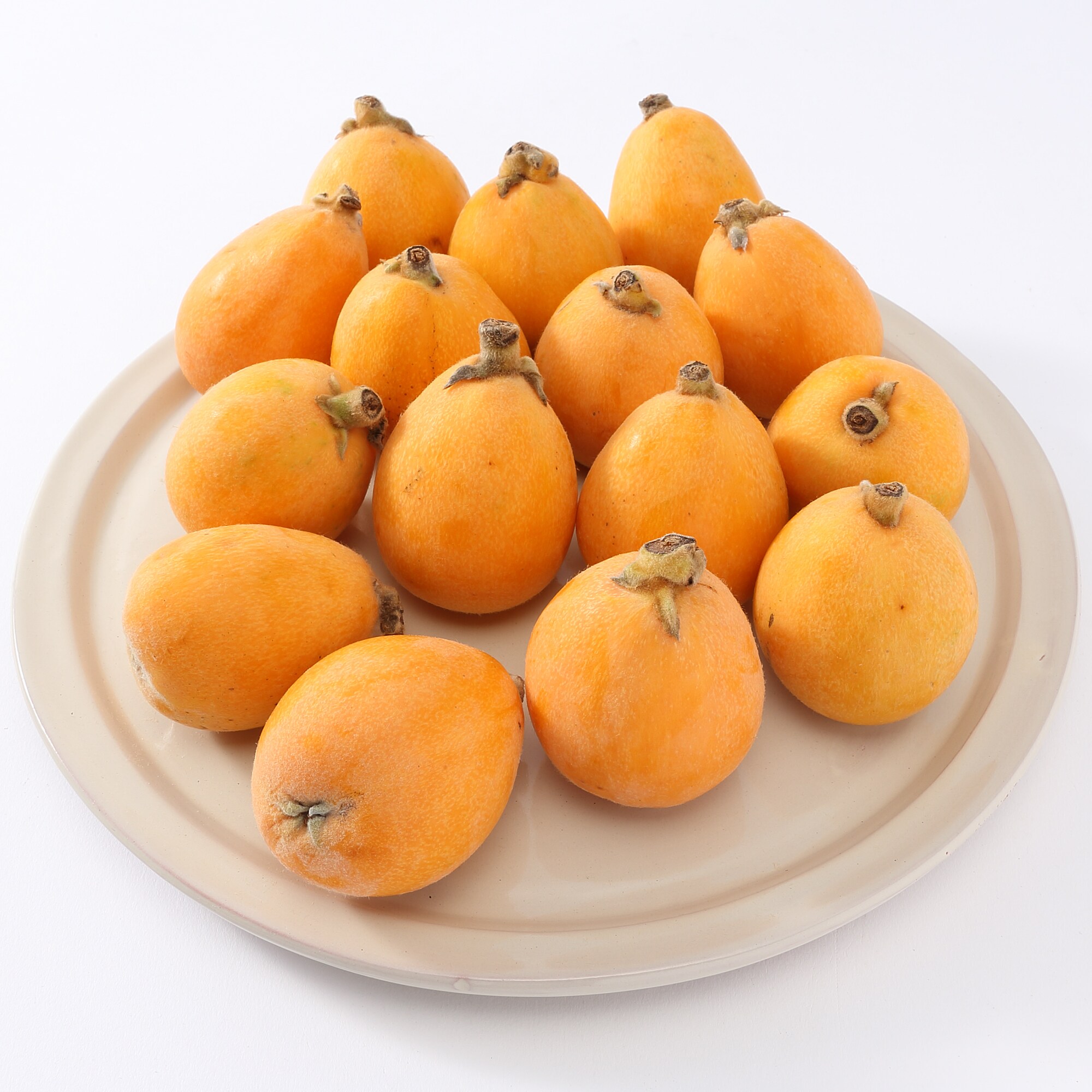 長崎県産 川口農園のびわ「なつたより」　１５玉