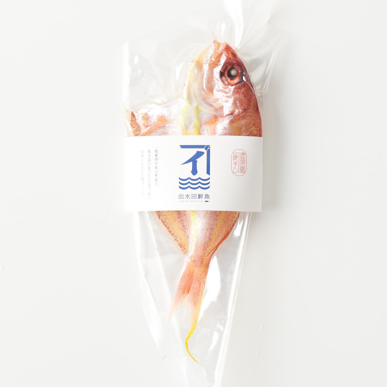 鹿児島県鹿屋市　季節の干物セット「夏」