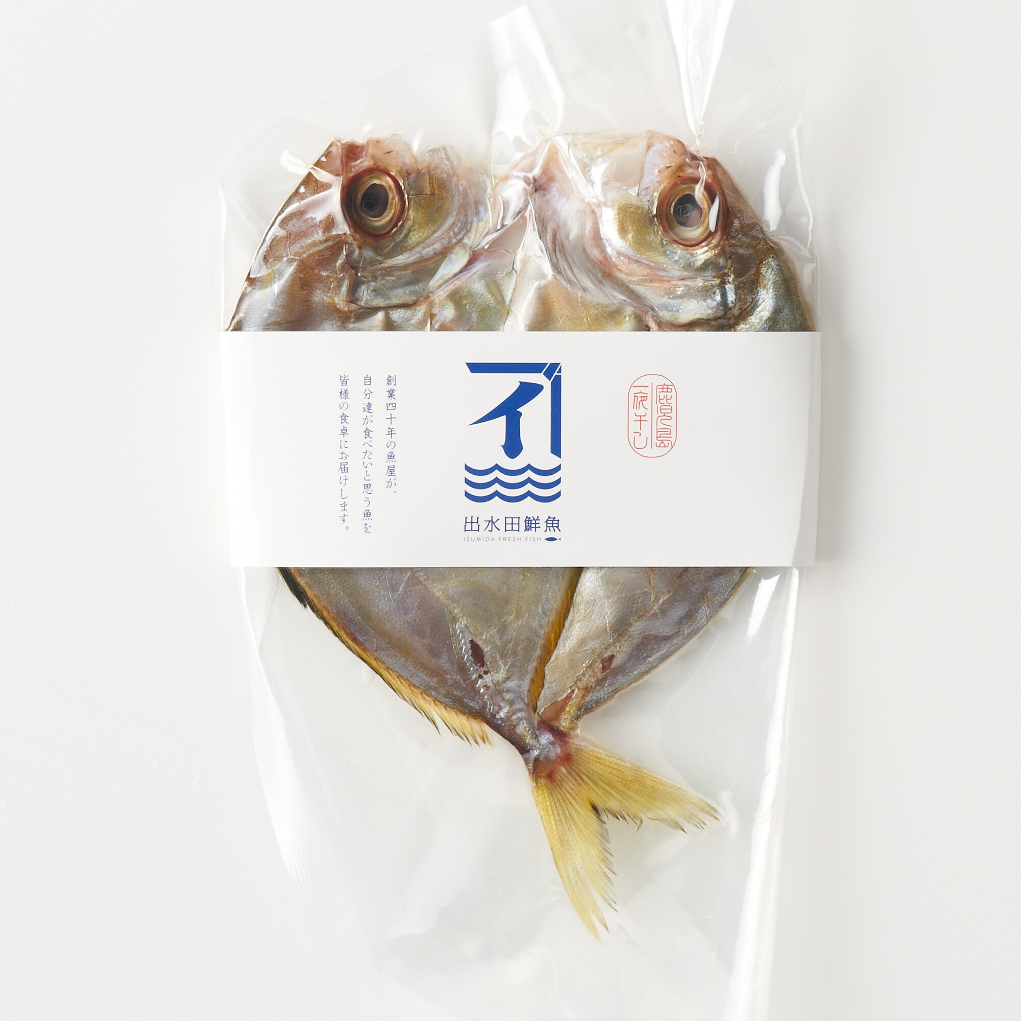 鹿児島県鹿屋市　季節の干物セット「夏」