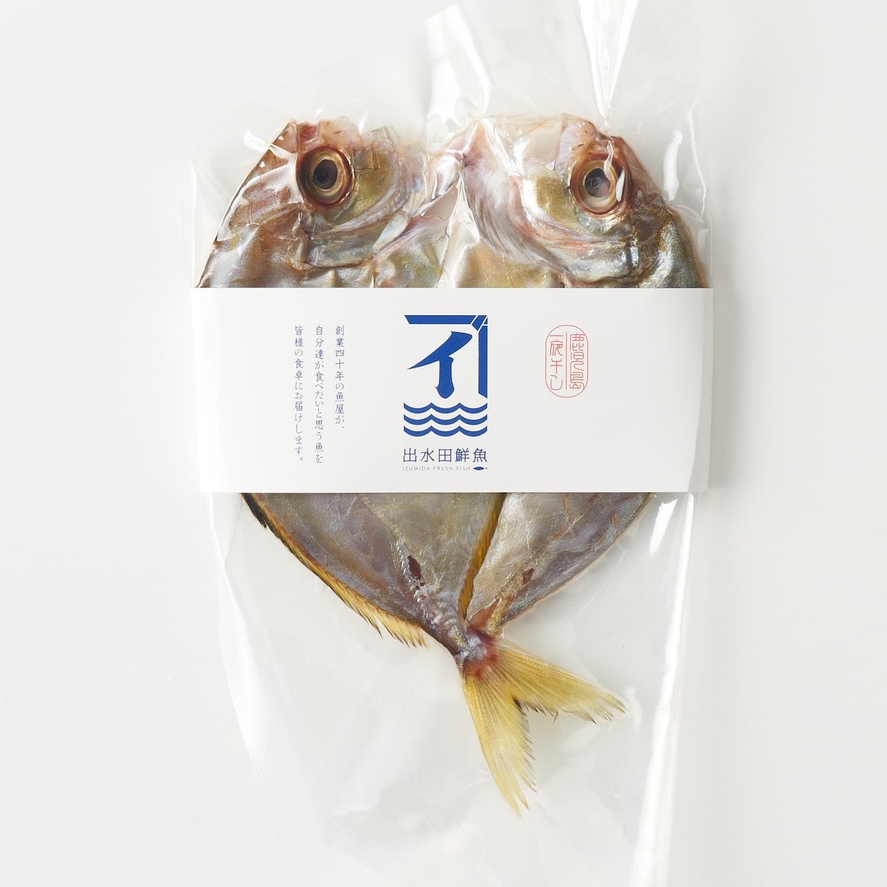 鹿児島県鹿屋市　季節の干物セット「夏」