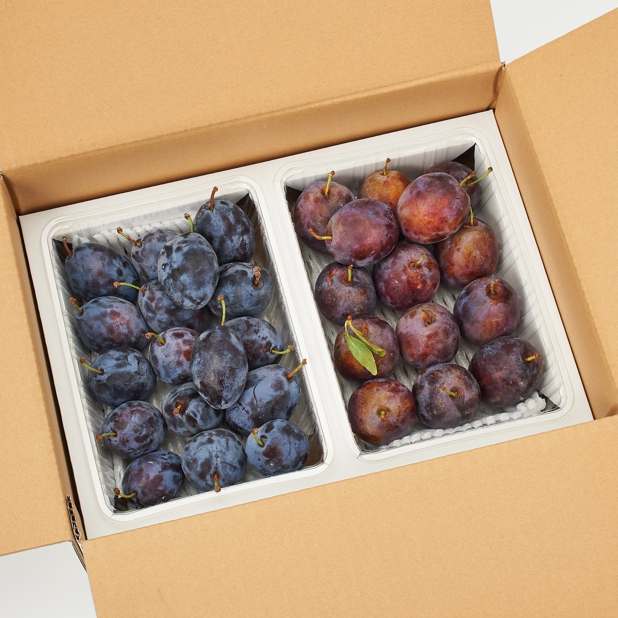 長野県産　代田農園の「プルーンセット（２種）」　約２ｋｇ