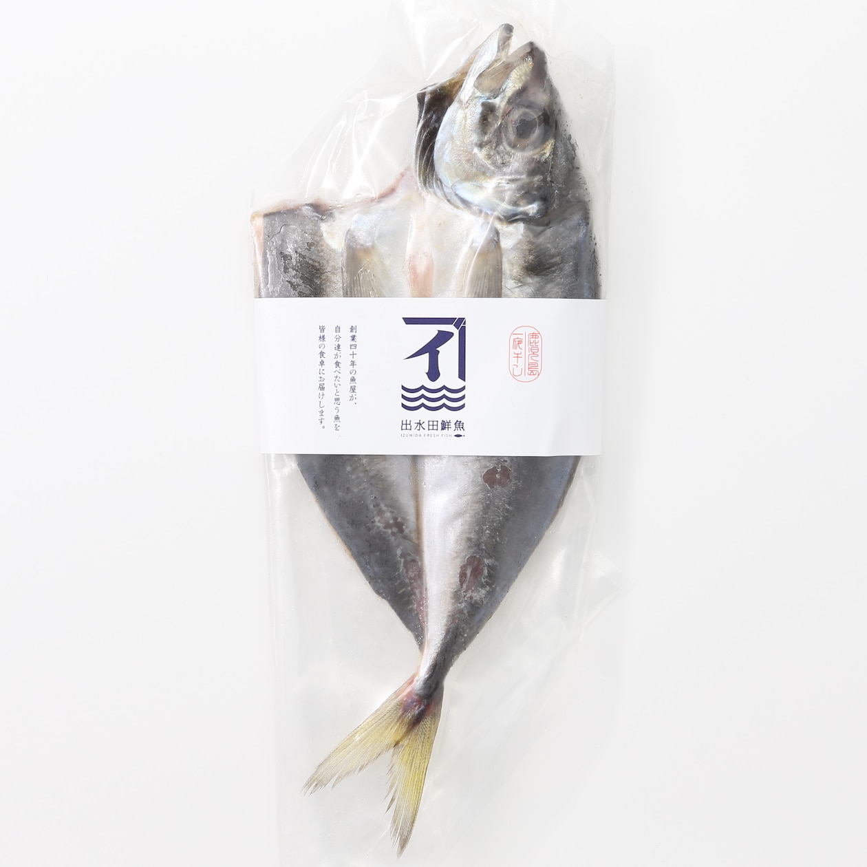 鹿児島県鹿屋市　　季節の干物セット「秋」