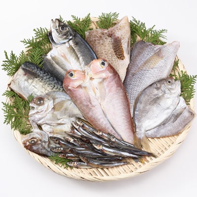 鹿児島県鹿屋市　　季節の干物セット「秋」