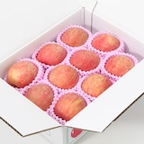 福島県産　たかはし果樹園のりんご（家庭用） 約３ｋｇ