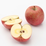 福島県産　たかはし果樹園のりんご（家庭用） 約３ｋｇ