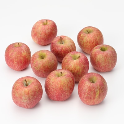 福島県産　たかはし果樹園のりんご（家庭用） 約３ｋｇ