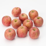 福島県産　たかはし果樹園のりんご（家庭用） 約３ｋｇ