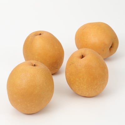 鳥取県産　ひろおかファームの完熟梨「王秋」家庭用・約２．２ｋｇ